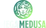 mega-medusa-casino.vip
